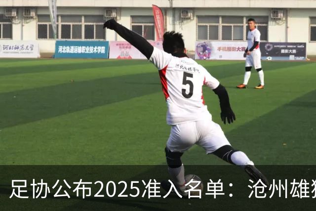 足协公布2025准入名单：沧州雄狮、广州队无缘
